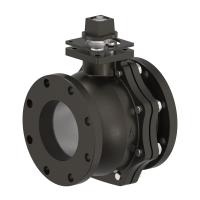 ION-4000-060